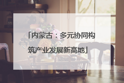 内蒙古：多元协同构筑产业发展新高地
