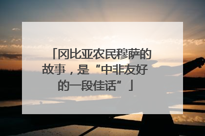 冈比亚农民穆萨的故事，是“中非友好的一段佳话”