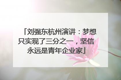 刘强东杭州演讲：梦想只实现了三分之一，坚信永远是青年企业家