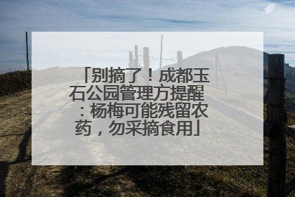 别摘了！成都玉石公园管理方提醒：杨梅可能残留农药，勿采摘食用