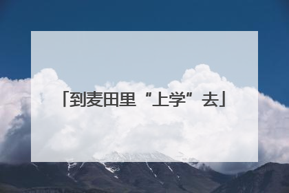 到麦田里“上学”去