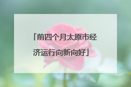 前四个月太原市经济运行向新向好