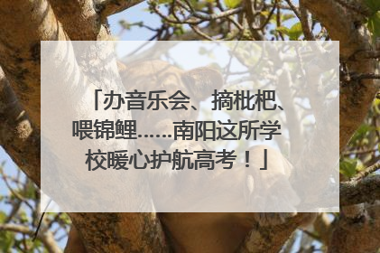 办音乐会、摘枇杷、喂锦鲤……南阳这所学校暖心护航高考！