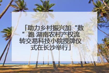 助力乡村振兴加“数”跑 湖南农村产权流转交易科技小院授牌仪式在长沙举行