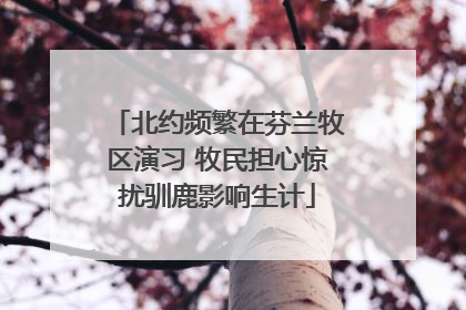 北约频繁在芬兰牧区演习 牧民担心惊扰驯鹿影响生计