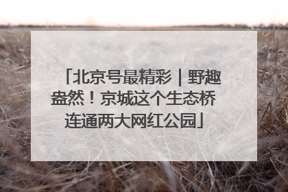 北京号最精彩｜野趣盎然！京城这个生态桥连通两大网红公园