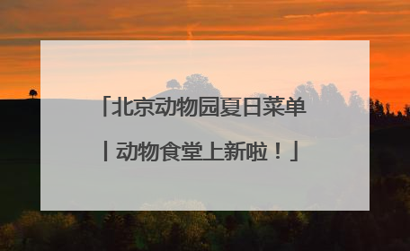 北京动物园夏日菜单丨动物食堂上新啦！