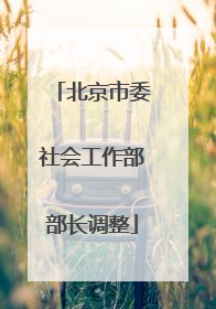 北京市委社会工作部部长调整