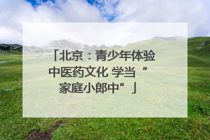 北京：青少年体验中医药文化 学当“家庭小郎中”