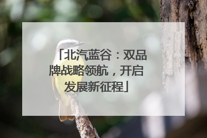 北汽蓝谷：双品牌战略领航，开启发展新征程