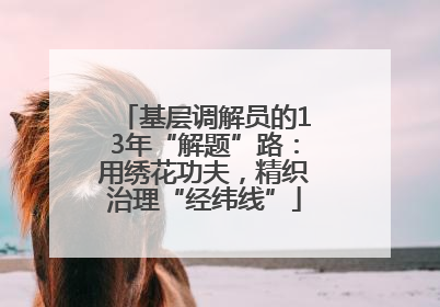 基层调解员的13年“解题”路：用绣花功夫，精织治理“经纬线”