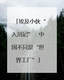 埃及小伙“入川记”：中国不只是“世界工厂”