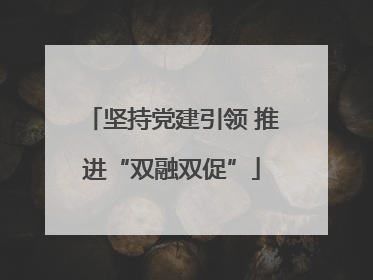 坚持党建引领 推进“双融双促”