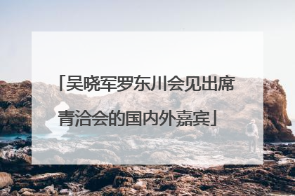 吴晓军罗东川会见出席青洽会的国内外嘉宾