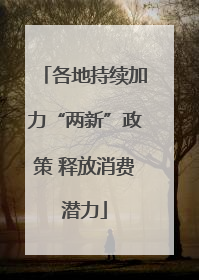 各地持续加力“两新”政策 释放消费潜力