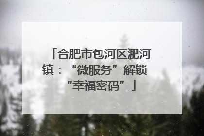 合肥市包河区淝河镇：“微服务”解锁“幸福密码”