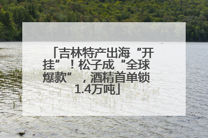 吉林特产出海“开挂”！松子成“全球爆款”，酒精首单锁1.4万吨