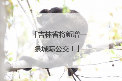 吉林省将新增一条城际公交！