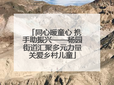 同心暖童心 携手助振兴——杨园街道汇聚多元力量关爱乡村儿童