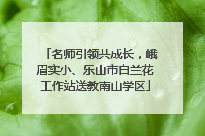 名师引领共成长，峨眉实小、乐山市白兰花工作站送教南山学区