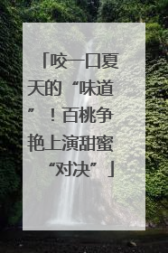 咬一口夏天的“味道”！百桃争艳上演甜蜜“对决”