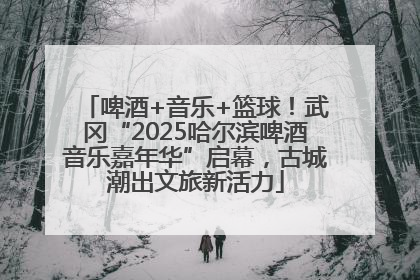 啤酒+音乐+篮球！武冈“2025哈尔滨啤酒音乐嘉年华”启幕，古城潮出文旅新活力
