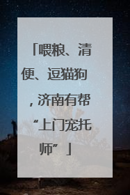 喂粮、清便、逗猫狗，济南有帮“上门宠托师”