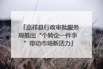 嘉祥县行政审批服务局推出“个转企一件事”带动市场新活力
