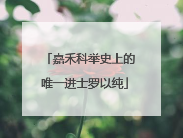 嘉禾科举史上的唯一进士罗以纯