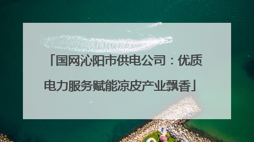 国网沁阳市供电公司：优质电力服务赋能凉皮产业飘香