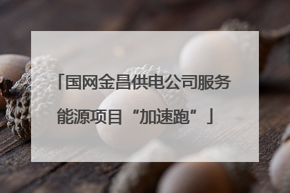 国网金昌供电公司服务能源项目“加速跑”