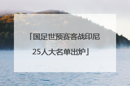 国足世预赛客战印尼25人大名单出炉