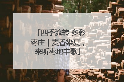 四季流转 多彩枣庄｜麦香染夏，来听枣地丰歌