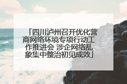 四川泸州召开优化营商网络环境专项行动工作推进会 涉企网络乱象集中整治初见成效