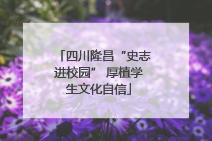 四川隆昌“史志进校园” 厚植学生文化自信