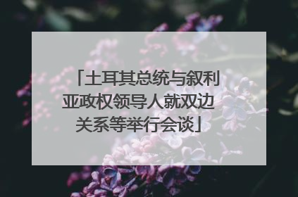 土耳其总统与叙利亚政权领导人就双边关系等举行会谈
