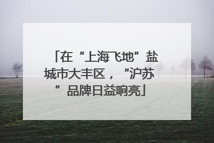 在“上海飞地”盐城市大丰区，“沪苏”品牌日益响亮