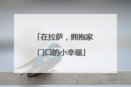 在拉萨，拥抱家门口的小幸福