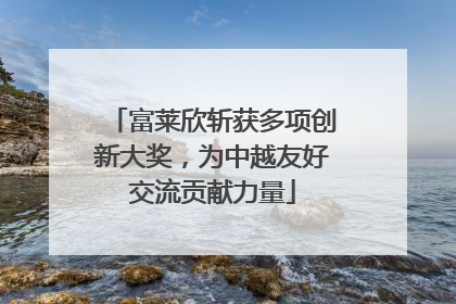 富莱欣斩获多项创新大奖，为中越友好交流贡献力量