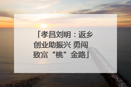 孝昌刘明：返乡创业助振兴 勇闯致富“桃”金路