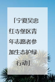 宁夏吴忠红寺堡区青年志愿者参加生态护绿行动