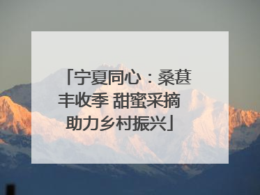 宁夏同心：桑葚丰收季 甜蜜采摘助力乡村振兴