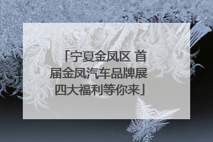 宁夏金凤区 首届金凤汽车品牌展四大福利等你来