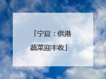 宁夏：供港蔬菜迎丰收