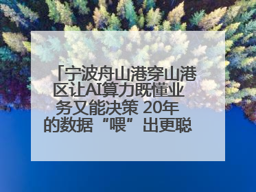 宁波舟山港穿山港区让AI算力既懂业务又能决策 20年的数据“喂”出更聪明的港口