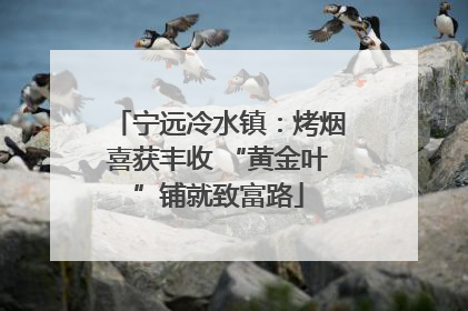 宁远冷水镇：烤烟喜获丰收 “黄金叶”铺就致富路