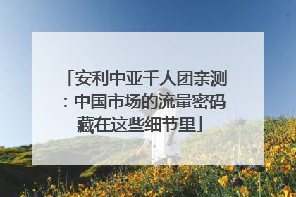 安利中亚千人团亲测：中国市场的流量密码 藏在这些细节里