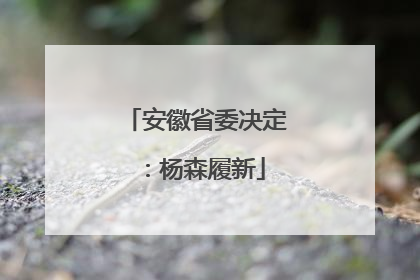 安徽省委决定：杨森履新