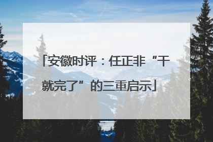 安徽时评：任正非“干就完了”的三重启示