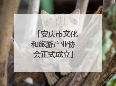 安庆市文化和旅游产业协会正式成立